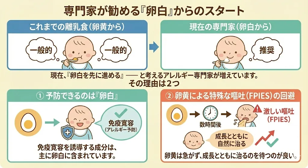 専門医が勧める「卵白」からスタート